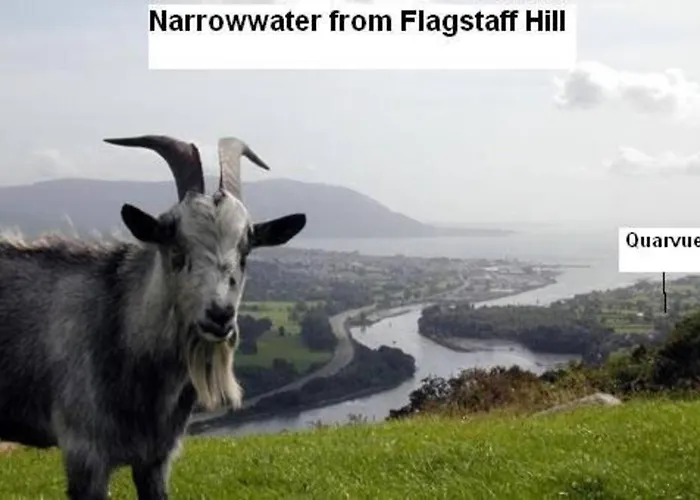 Quarvue Loft Apartament O Meith